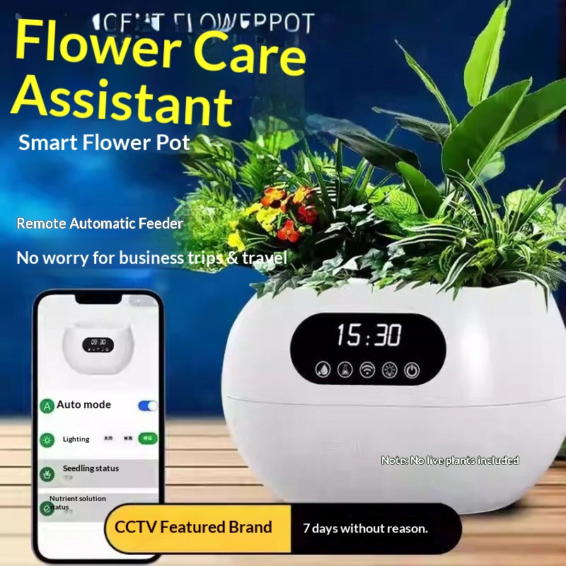 Pot Bunga Pintar AI Penyiraman - Electronic Gift ulasan dan harga